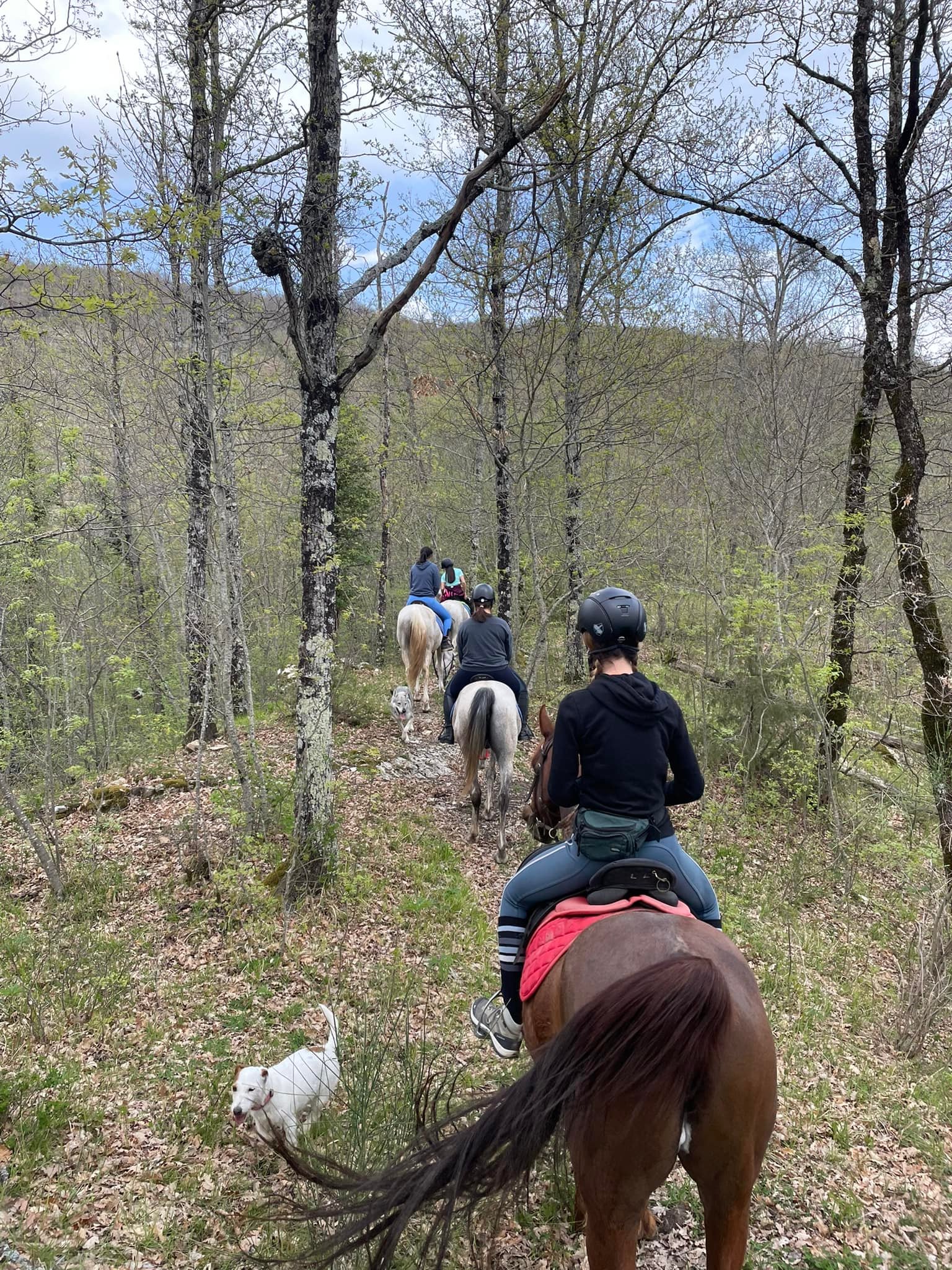 Agriturismo con escursioni a cavallo in Toscana