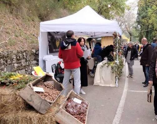 La Festa della Castagna DOP di Caprese Michelangelo