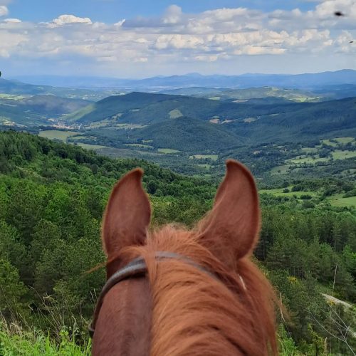 Agriturismo con escursioni a cavallo in Toscana (1) Agriturismo con escursioni a cavallo in Toscana