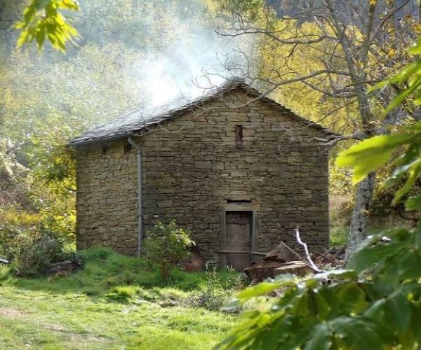 La Festa della Castagna DOP di Caprese Michelangelo